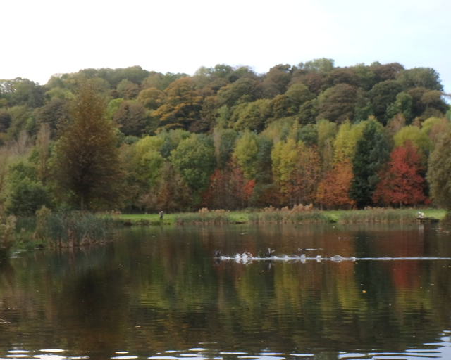 walgoch gallery image