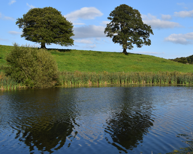 walgoch gallery image