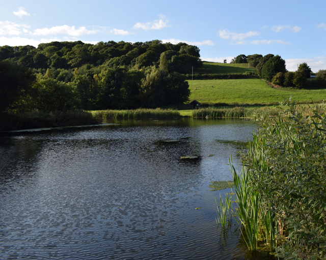 walgoch gallery image