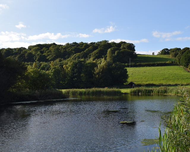 walgoch gallery image