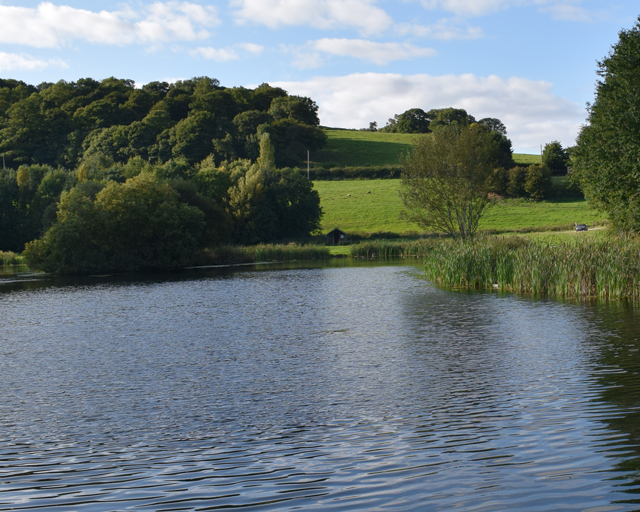 walgoch gallery image