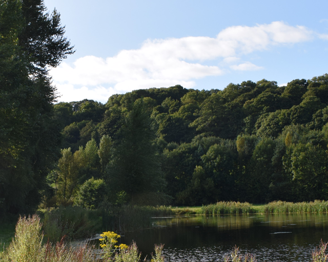 walgoch gallery image