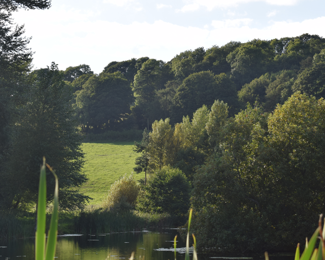 walgoch gallery image