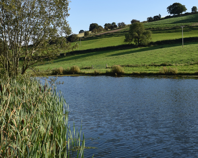 walgoch gallery image