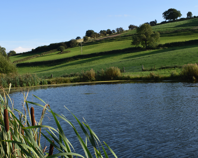 walgoch gallery image