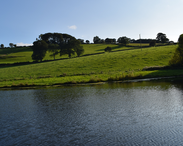 walgoch gallery image